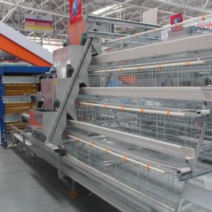 China 128 Birds A Type Layer Chicken Cage Installation Provide factory