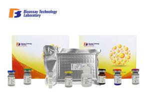Human Rho Guanine Nucleotide Exchange Factor 1 / ELISA Assay Kit For Research