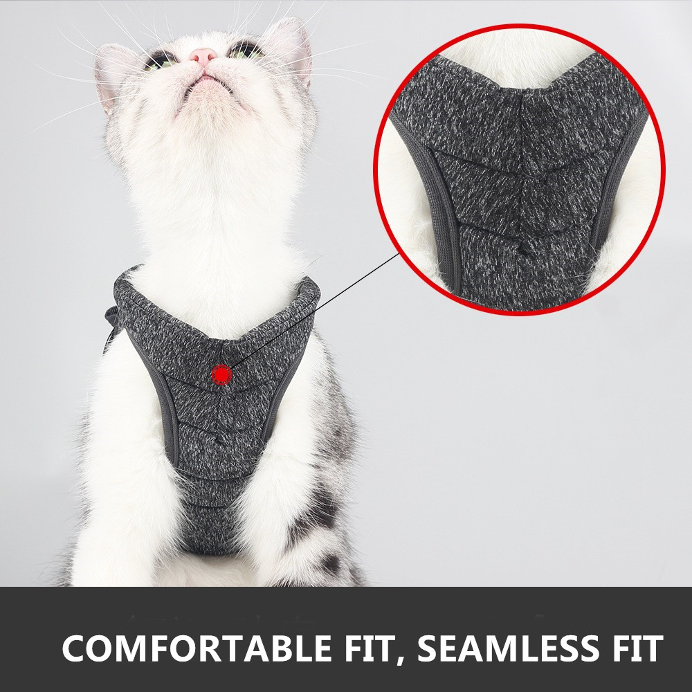 cat body leash 