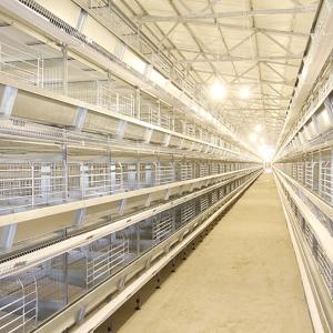 China Laying Eggs Automatic Chicken Cage , Large Scale Farm Free Range Chicken Cage factory