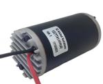 OEM 52mm DC Fuel Pump Motor used for Vehicle Automobile Fuel Pupms Rated 14v