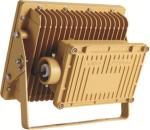 Wall Mounted Hazardous Location LED Light Fixtures AC 50HZ NEW-FBF011-200W