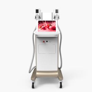 China 100% fat freeze cryolipolisis Safe And Effective 0-100kPa Vacuum Cryolipolysis Slimming Equipment factory