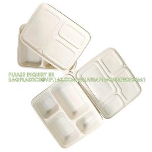 Disposable Biodegradable Sugarcane Bagasse Pulp Food Container Take Away Lunch