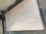 wholesale 9mm 12mm 15mm 18mm best price commercial plywood