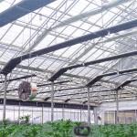 Medical Herbs Growing Hydroponic Poly Tunnel Agriculture Greenhouse Auto Light