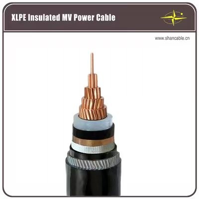 China Customized Armoured Electrical Aluminium Conductor Cable , Armored Power Cable factory