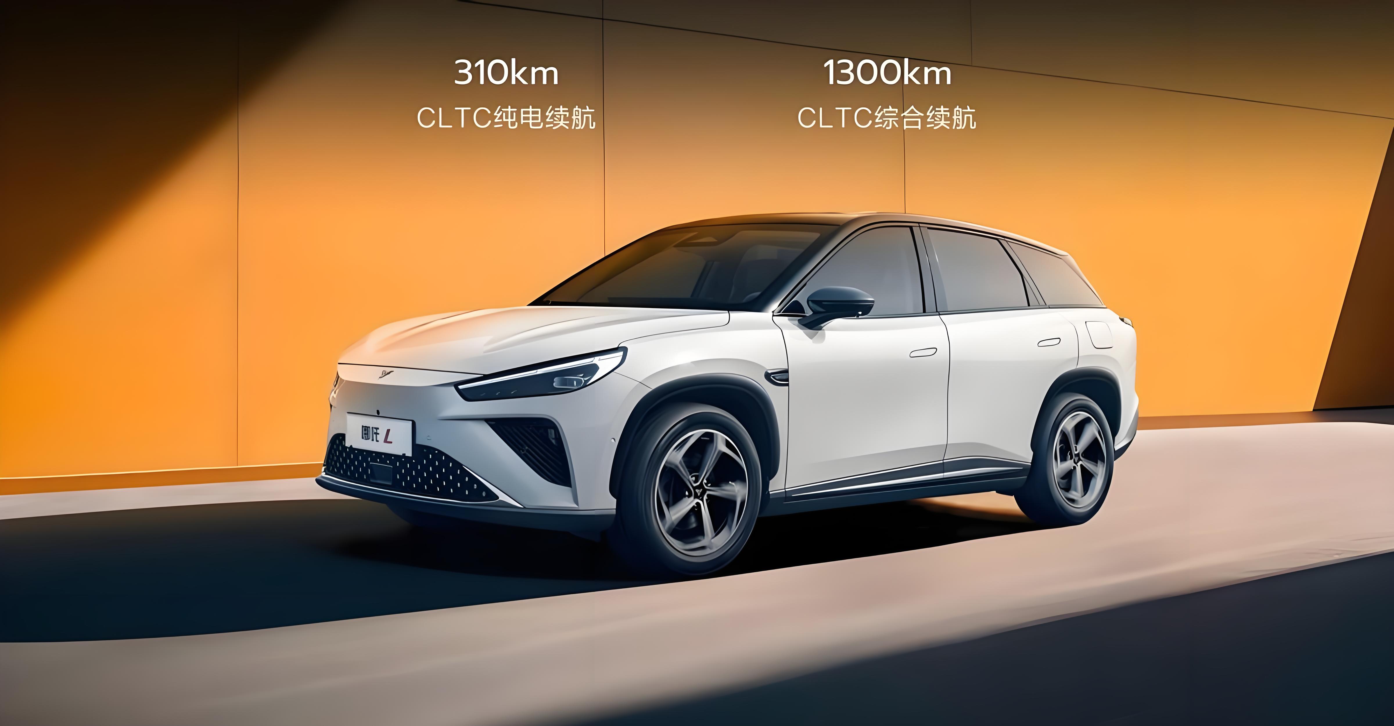 2024 China New EV Car NETA L New Energy Electric Car Neta L 220km 310km 231ps plug-in hybrid SUV