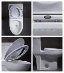 12 Inch Rough In Toilet Single Flush Siphon S Trap Wc Eastern Water Closet