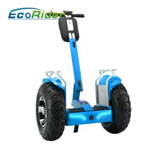China 21 Inch 1266wh Off Road Tires 2 Wheel Electric Segway Scooter 82*48*58 Cm factory