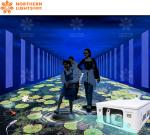 Waterproof Multiple Themes Interactive Ground Projection Game
