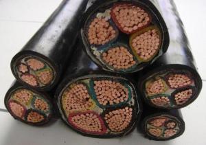 China 0.6/1KV Copper core PVC insulated PVC sheathed power cable (YJV22) factory