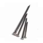 Screw Siding Hot Dipped Galvanized Coil Nails
