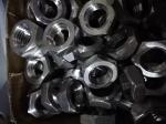 M6 - M100 DIN Size Duplex Stainless Steel Fasteners 304 316 309 Hex Nut