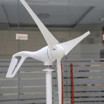 0.8kW Horizontal Axis Small Wind Turbine 24V 48Volt 1000W Horizontal Wind Power