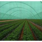 Customized Agricultural Shade Net / Hdpe Sunshade Netting For Outdoor Applicatio