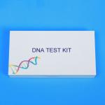 ISO13485 Disposable DNA Collection Kit User Friendly For Genotyping
