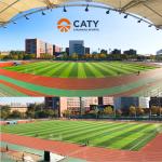 Waterproof Recycled EPDM Rubber Granules for Football Field Artificial Turf