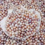 Wholesale AAA Grade 5-6mm and 6-7mm and 7-8mm no hole Rice Shape real pearl