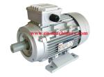 Gear Reduce Motor with CE Single Phase Electric Motor, AC Electric Motor