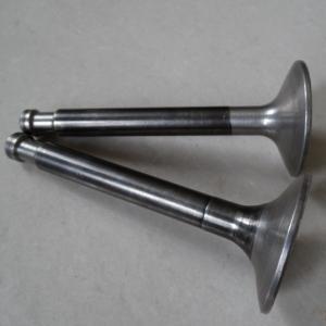 China ISUZU 10PD1 Engine Parts Intake And Exhaust Valves For Excavator Length 159mm factory