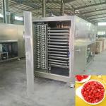 Air Cooled Food Vacuum Freeze Dryer High Efficient Refrigeration 100 Kg/Batch