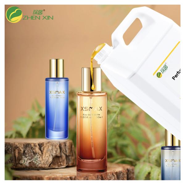 China Pine Perfume Long Lasting Perfume Fragrance Oil Pine Perfume For Making factory