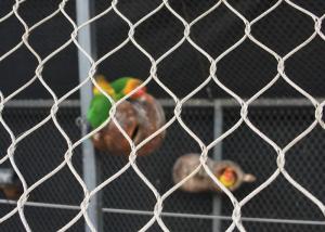 China Woven AISI 316 Aviary Wire Netting Horizontal / Vertical Flexible Mesh For Birds factory