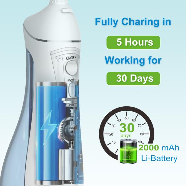 Biodegradable Tooth Clean Individually Wrapped Flosser Toothpick Dental Floss