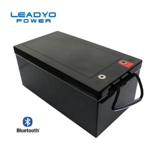 China High Capacity Leadyo Battery Bluetooth LiFePO4 12V 300Ah Lithium Ion Battery factory