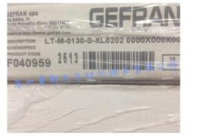 China Italy original authentic GEFRAN displacement sensor LT-M-0130-S factory