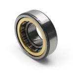 Single Row Cylindrical Roller Bearing NJ230 NJ240 NJ200 Series