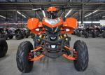 Automatic Clutch Utility Vehicles ATV 300cc Electric Start Front Drum Brake