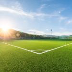 Professional Synthetic Artificial Wall Grass Decorative Fake Grass Outdoors
