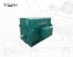 YKK500 3 Phase Asynchronous Squirrel Cage Motors 745rpm IEC 355-630