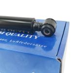 Car Model Mercedes-Benz C203 2004-2008 Shock Absorber 2033261700 for Rear Left