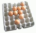 Semi Automatic Egg Box Forming Machine 440V Tray Making Waste Paper