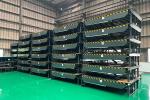 High Performance Hydraulic Dock Leveler AC 380V Power Supply Hydraulic Dock Ramp