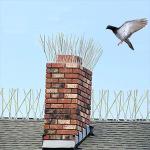 Bird Spikes for Pigeons Small Birds,Stainless Steel Bird Spikes -No More Bird