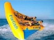 China Exciting Inflatable Flying Fish Boat for Entertainment , Easy To Set Up factory