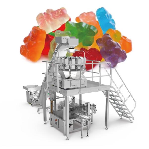 Automatic Nuts Chips Gummy Candies Zipper Bag Pouch Packing Machine With Multi