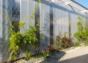 China Security Artificial Wire Trellis For Climbing Plants factory
