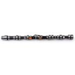 Excavator Parts Forged Steel Engine Camshaft With Gear Fit for 6D31 Engine