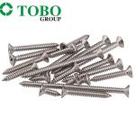 DIN7983 SS304 Oval Head Self-Tapping Screws M3.5 M4.2 Stainless Steel 304 Head