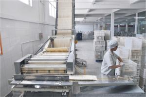 China High Production Stick Noodle Making Machine factory