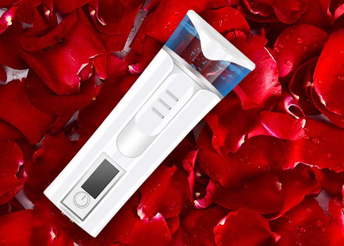 Nano Moisture Spray Personal Care Products Facial Steamer ABS Material For Woman