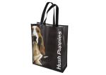 Full Color PP Non Woven Shopping Bag , Waterproof Laminated Shopper Tote