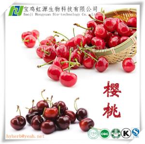 China Natural VC 17% Acerola cherry extract factory