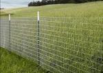 Stainless Steel Welded Wire Mesh For Agricultural Applications