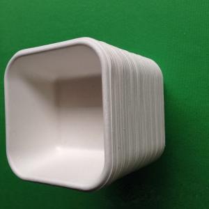 China biodegradable eco-friendly dinnerware sugarcane square shaped food tray factory